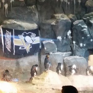 Meet your Posher, Jaime